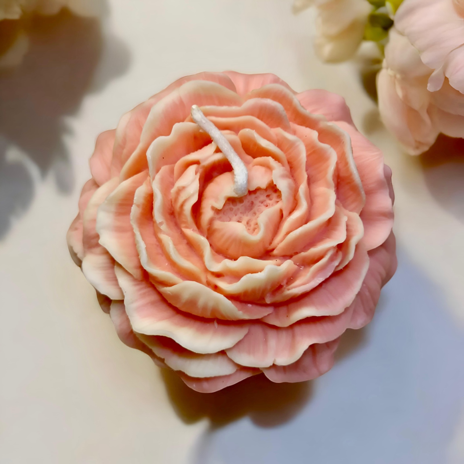 Rose shaped candle in pink and white